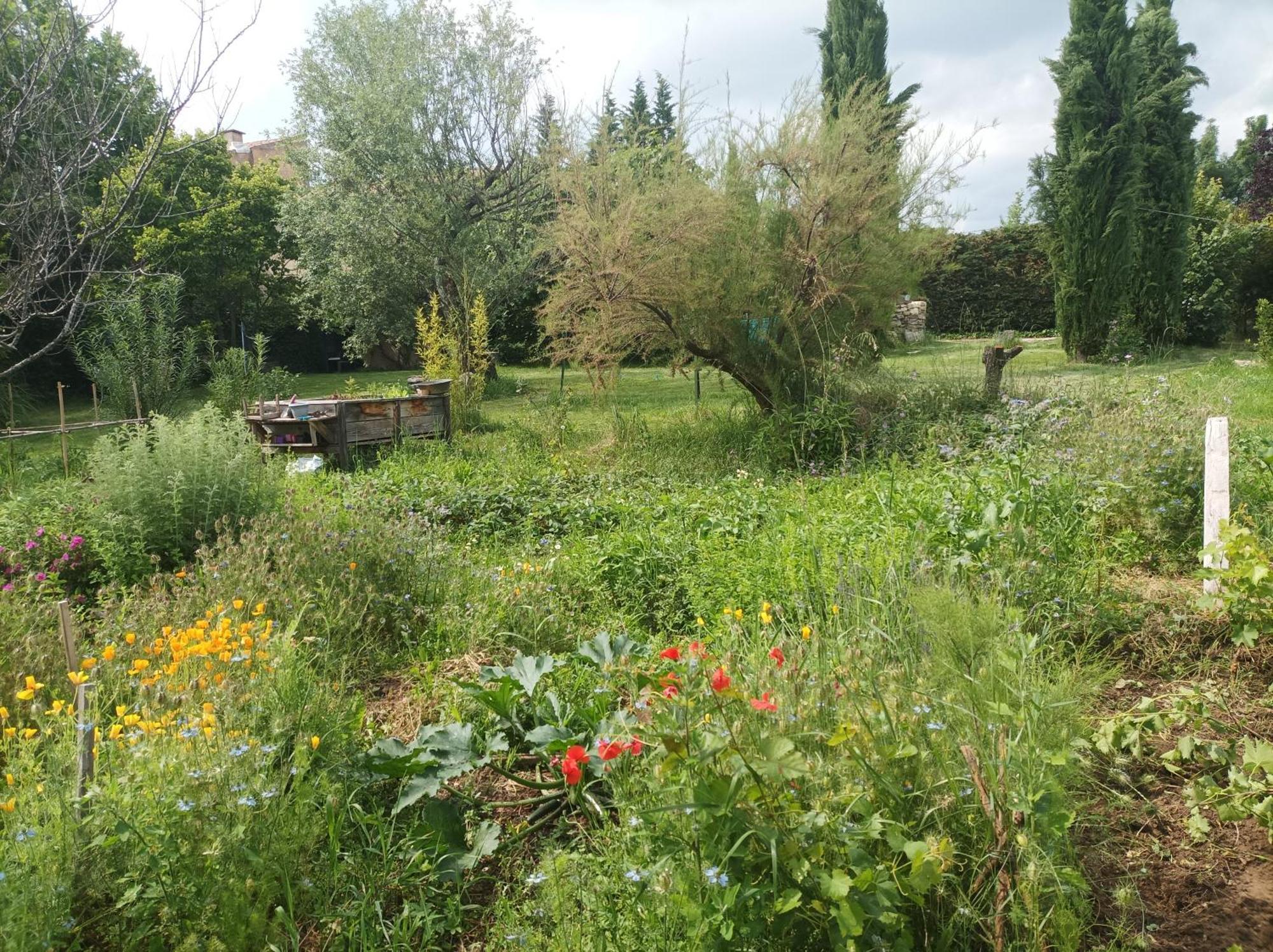 Campagne De Pre Grand Bed & Breakfast Saint-Etienne-les-Orgues Exterior photo